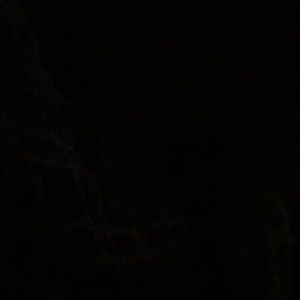 Meet your Posher, Ethan